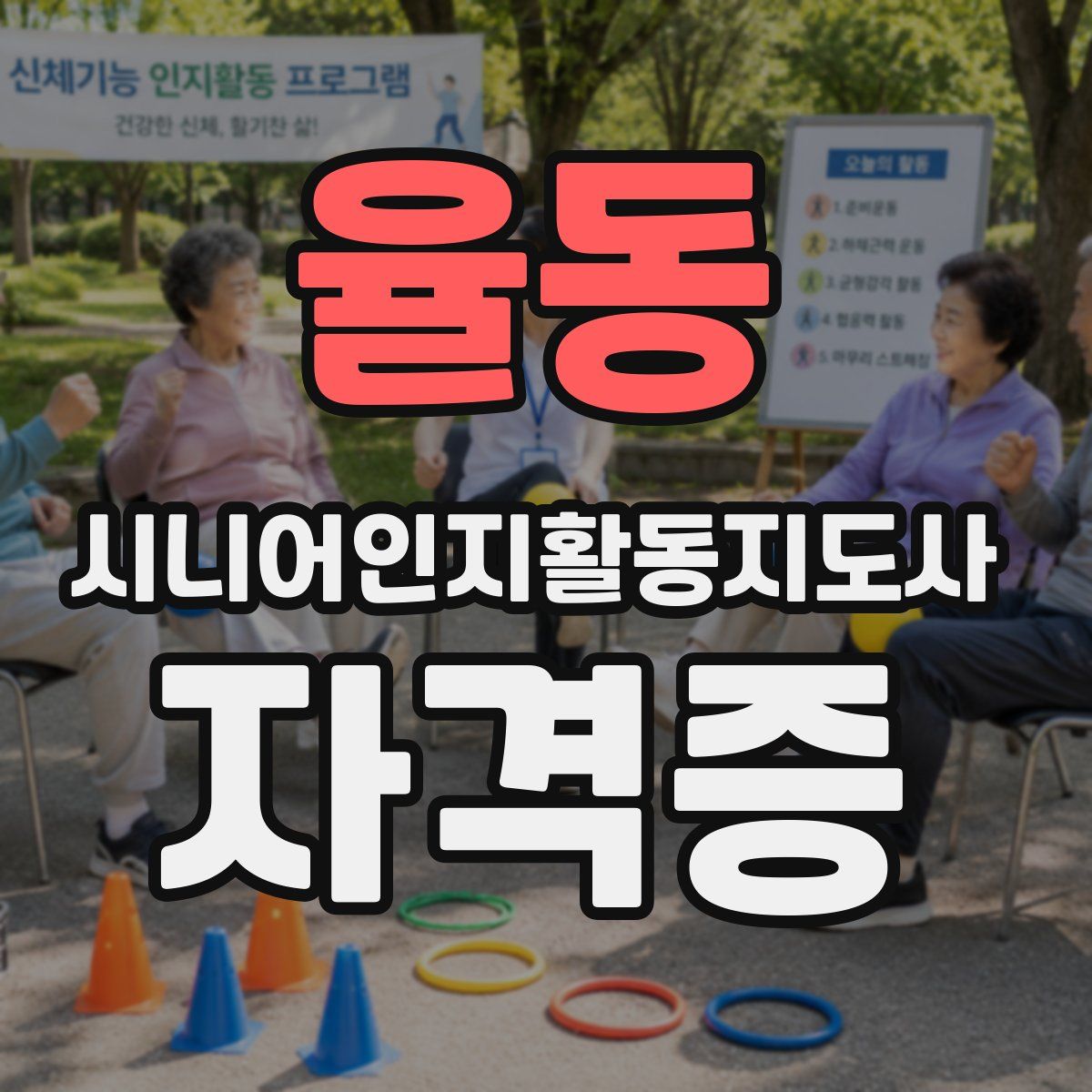 율동 시니어인지활동지도사 자격증