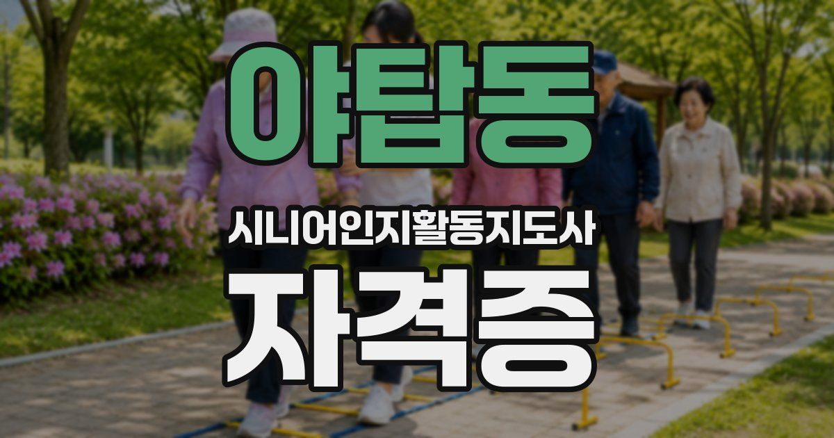 야탑동 시니어인지활동지도사 자격증