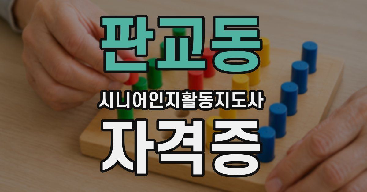 판교동 시니어인지활동지도사 자격증