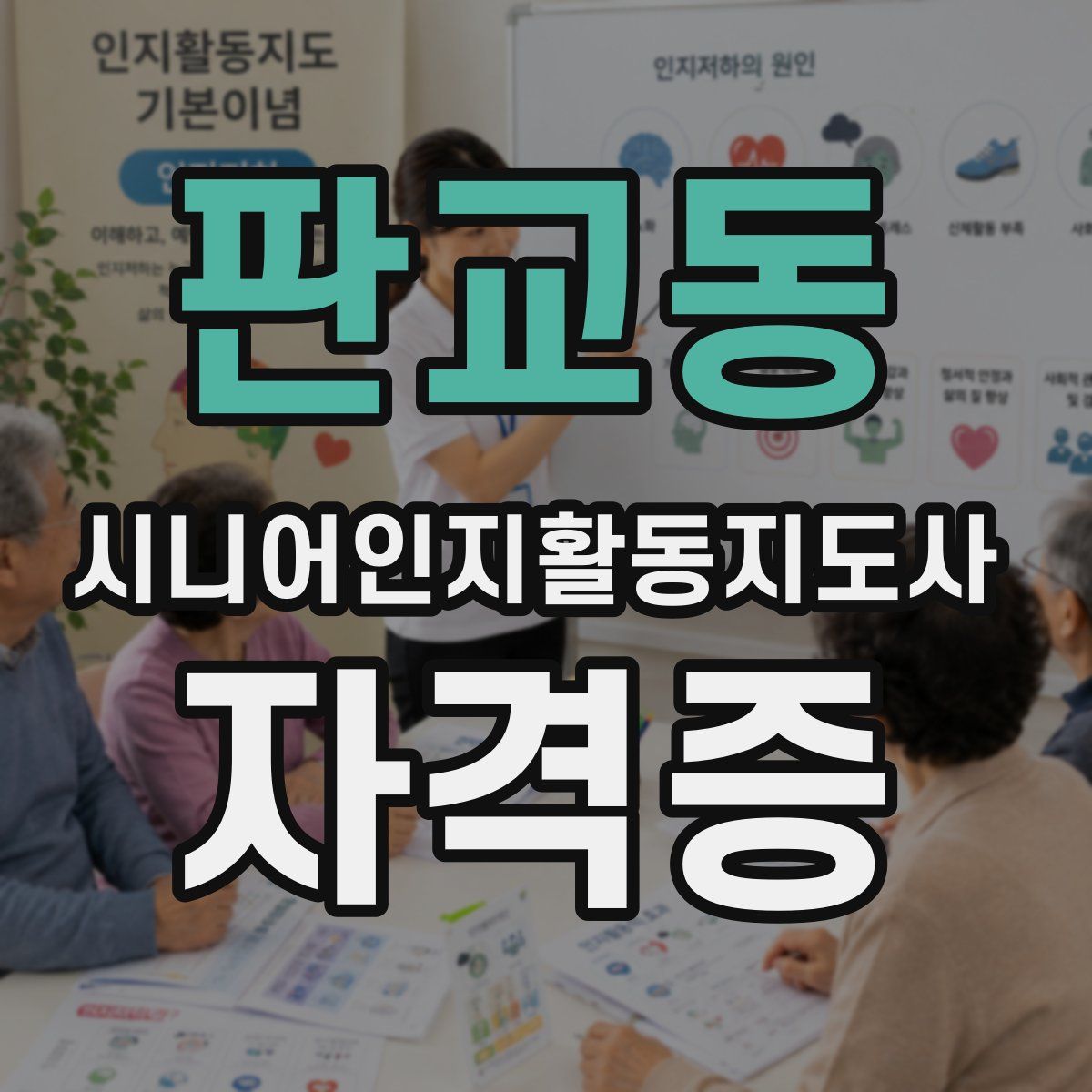 판교동 시니어인지활동지도사 자격증