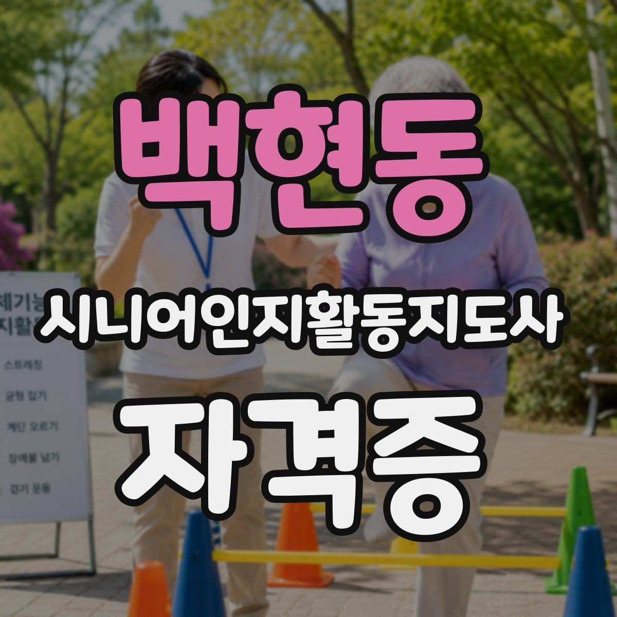 백현동 시니어인지활동지도사 자격증 수강 전 커리큘럼 살펴보기
