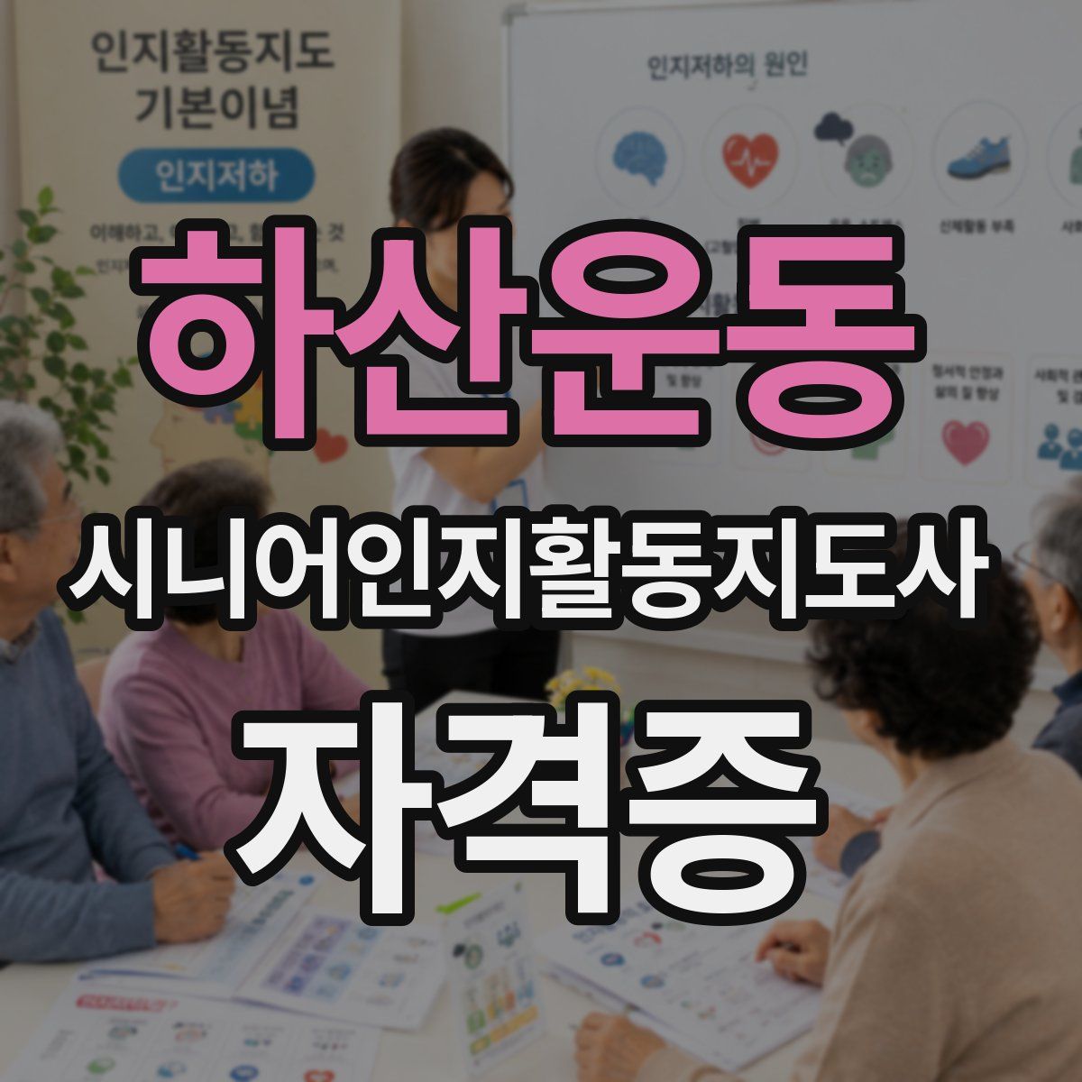 하산운동 시니어인지활동지도사 자격증