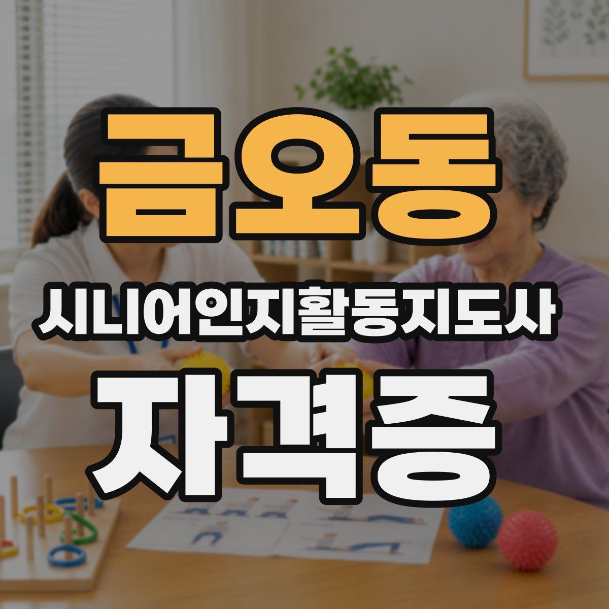 금오동 시니어인지활동지도사 자격증