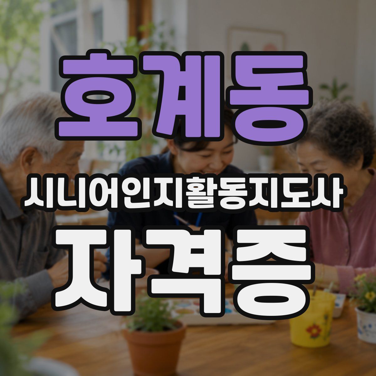 호계동 시니어인지활동지도사 자격증