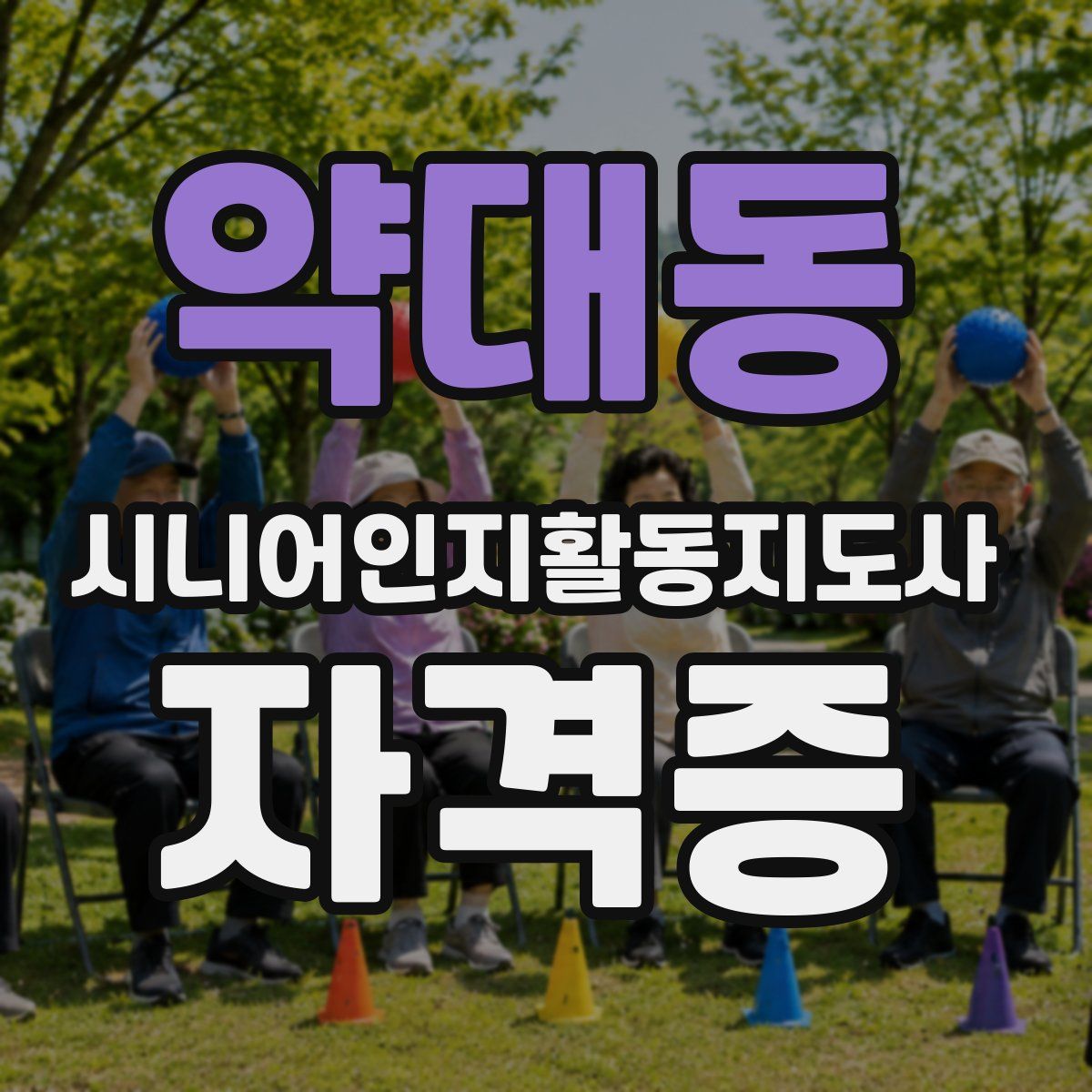 약대동 시니어인지활동지도사 자격증