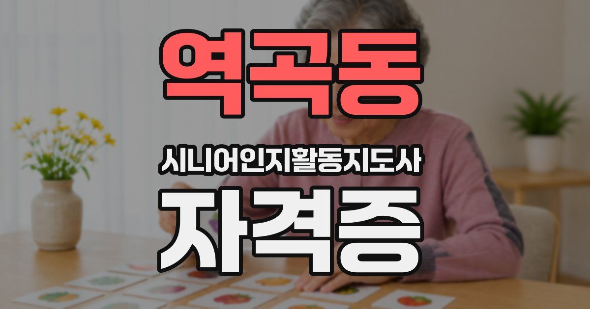 역곡동 시니어인지활동지도사 자격증