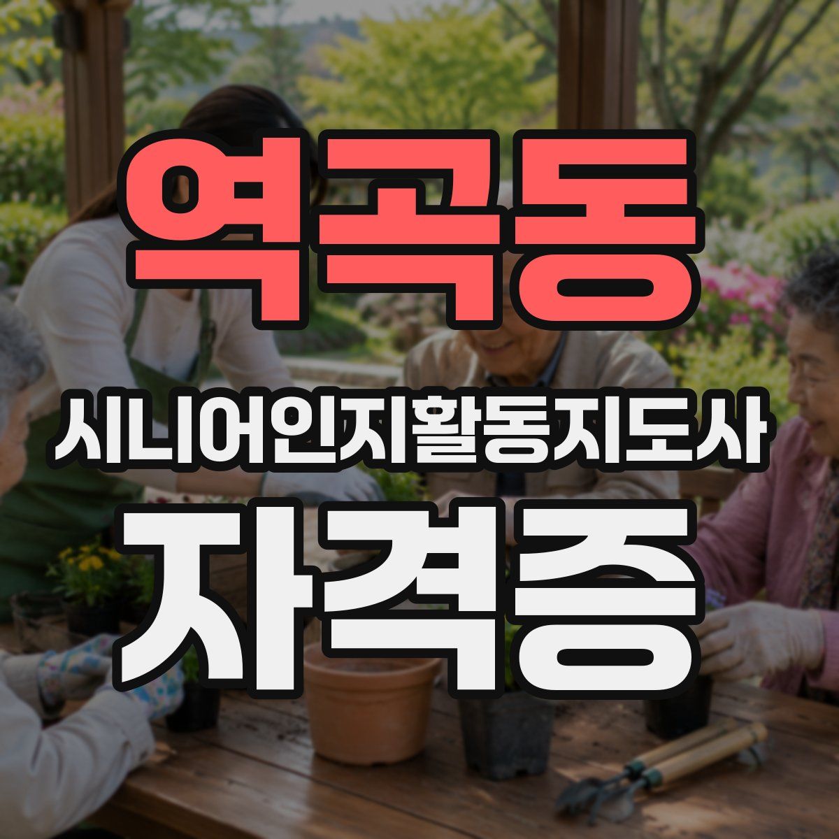 역곡동 시니어인지활동지도사 자격증