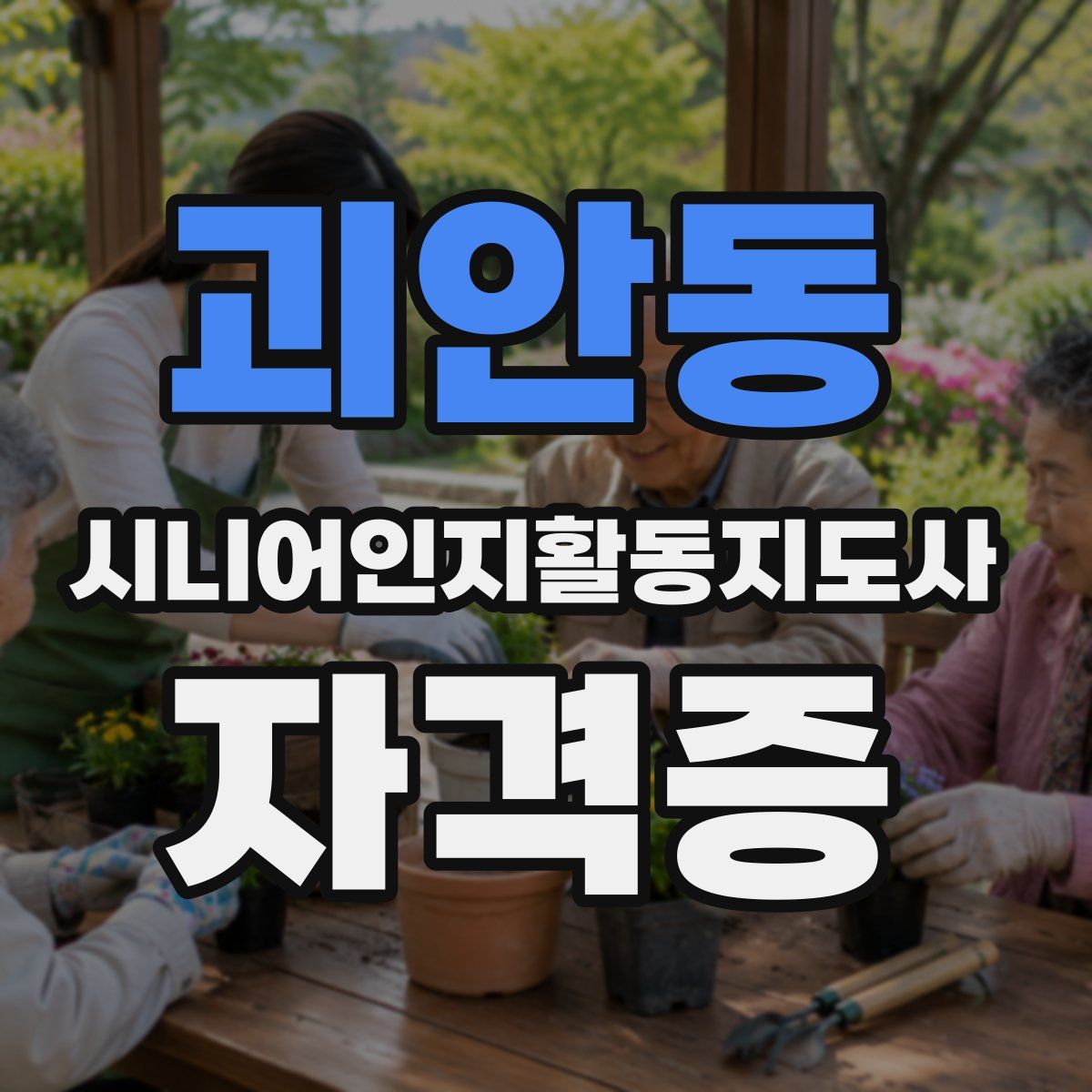 괴안동 시니어인지활동지도사 자격증