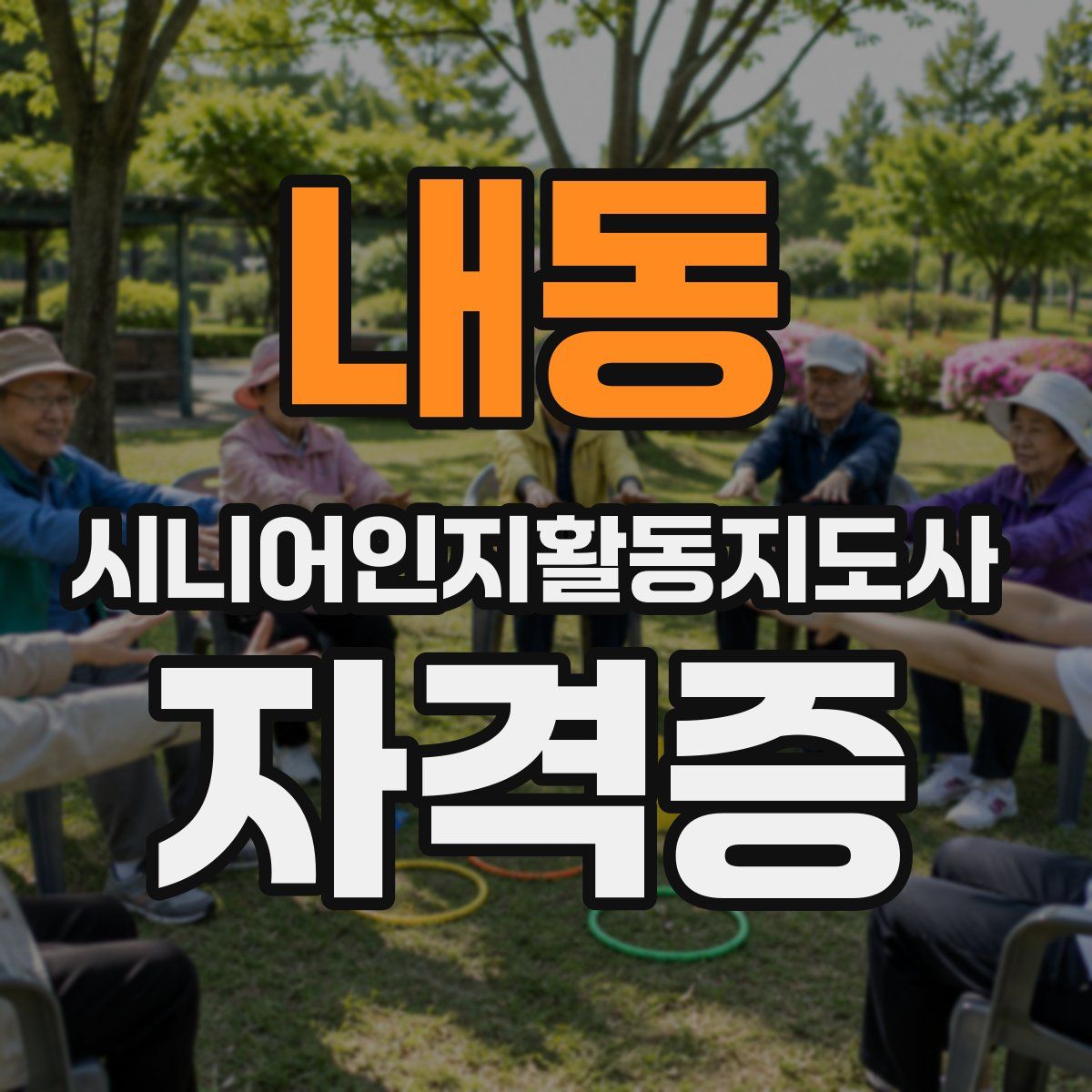 내동 시니어인지활동지도사 자격증