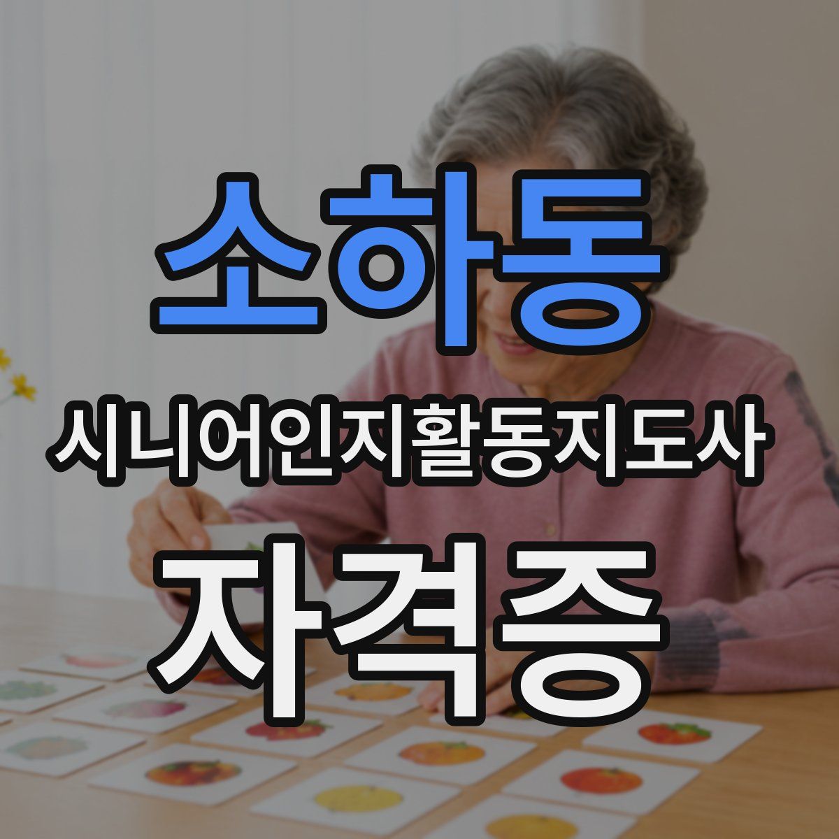 소하동 시니어인지활동지도사 자격증