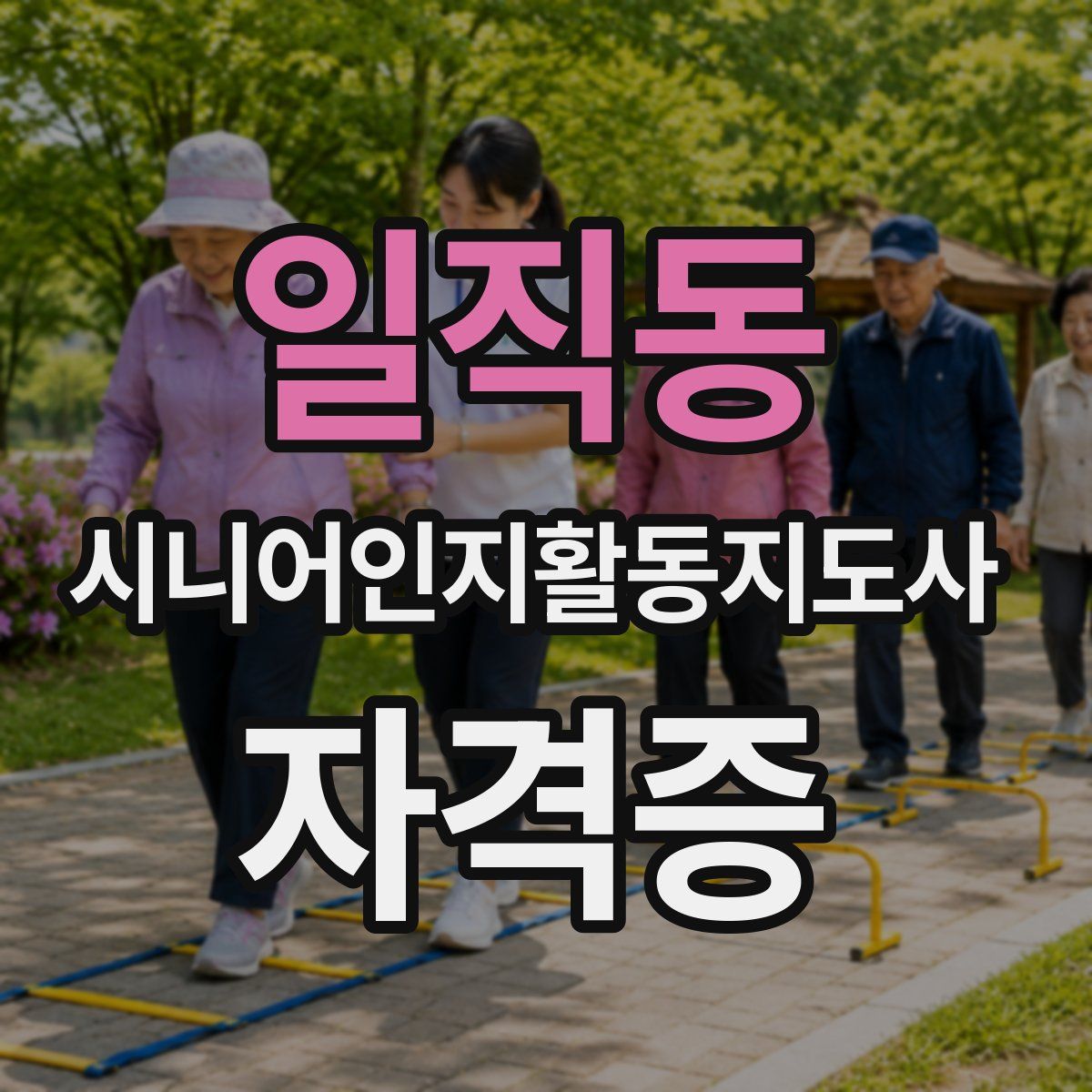 일직동 시니어인지활동지도사 자격증