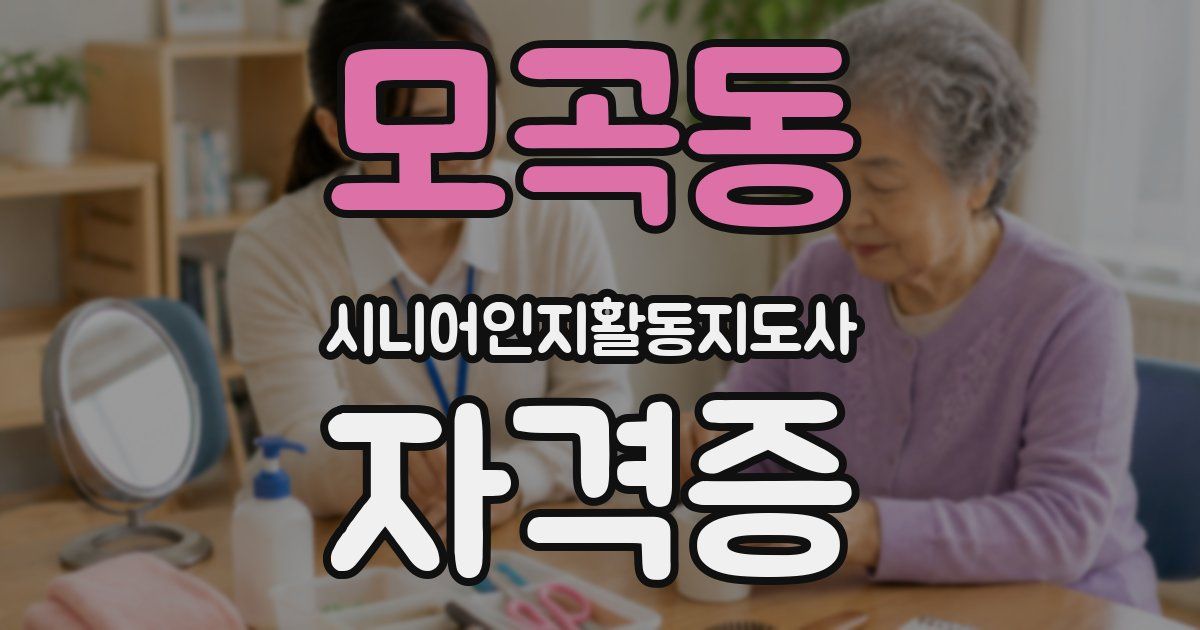 모곡동 시니어인지활동지도사 자격증