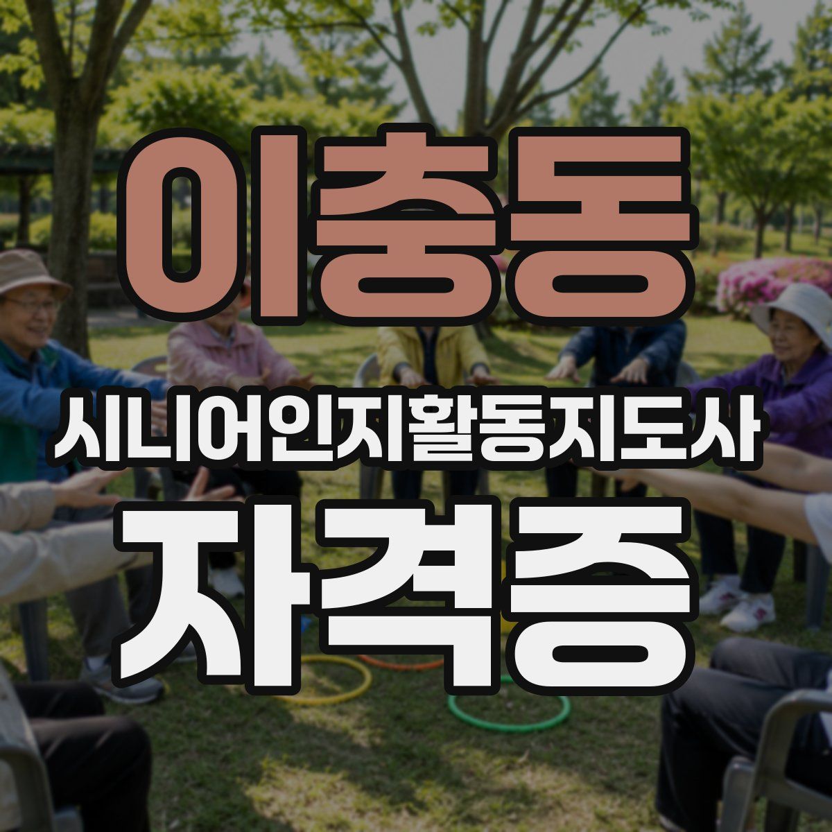 이충동 시니어인지활동지도사 자격증