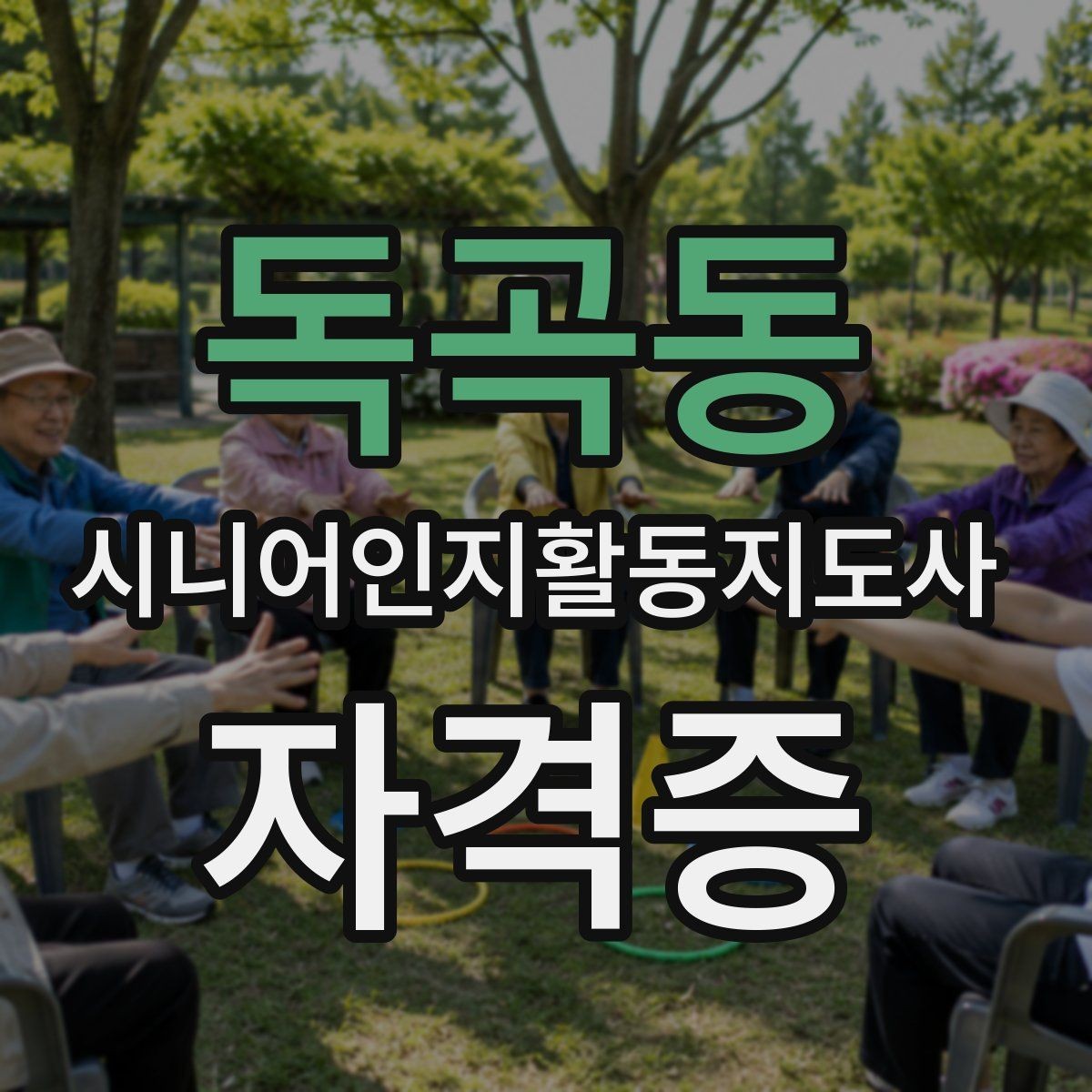 독곡동 시니어인지활동지도사 자격증 준비에 필요한 기본 소양