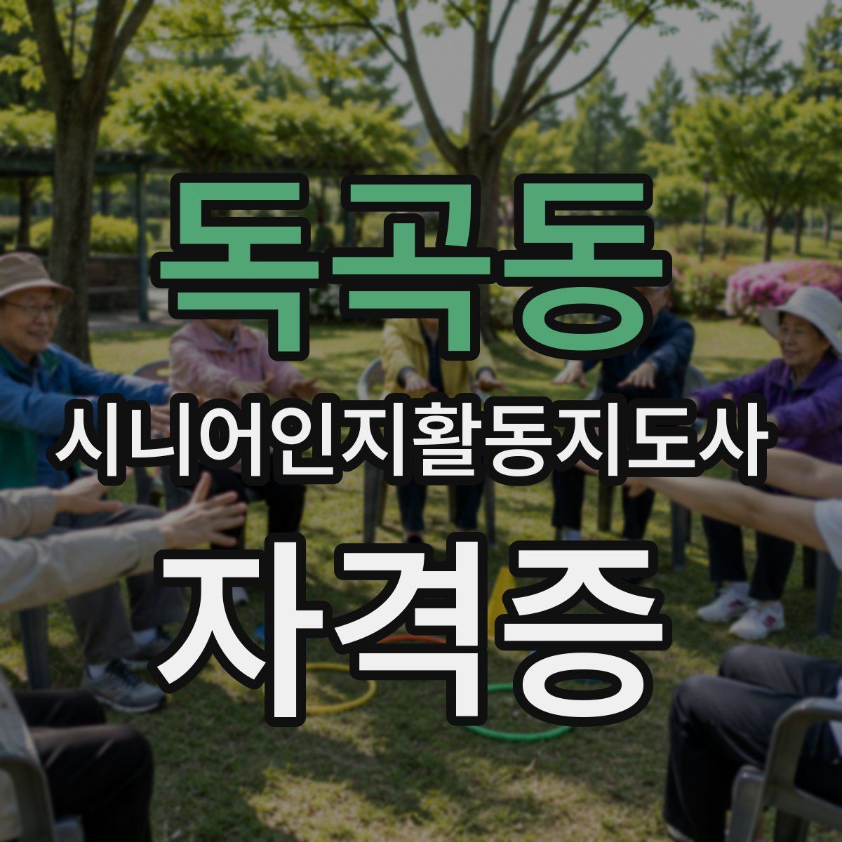 독곡동 시니어인지활동지도사 자격증