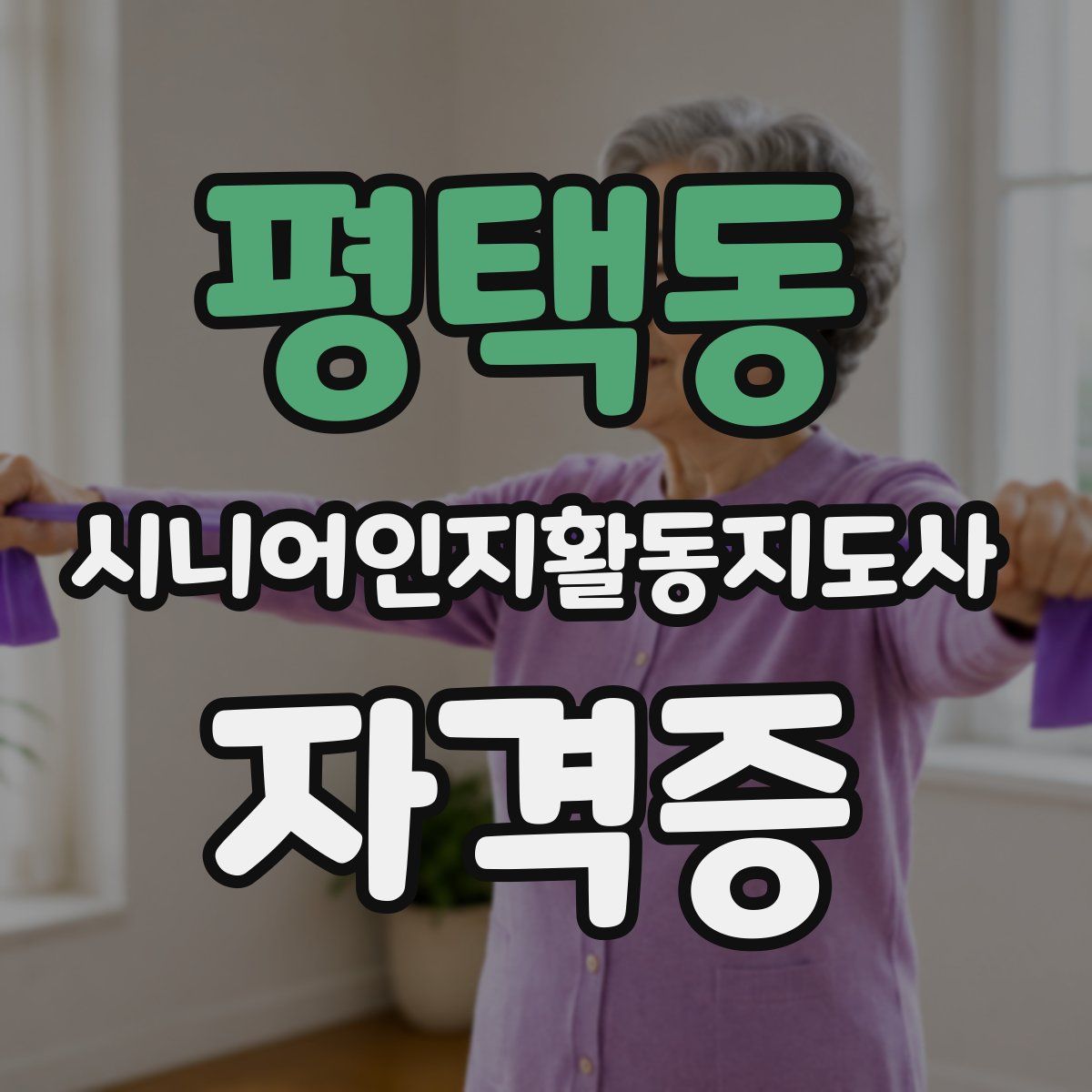 평택동 시니어인지활동지도사 자격증