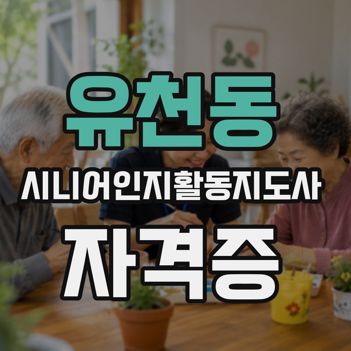유천동 시니어인지활동지도사 자격증