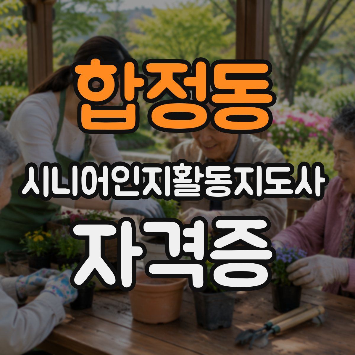 합정동 시니어인지활동지도사 자격증