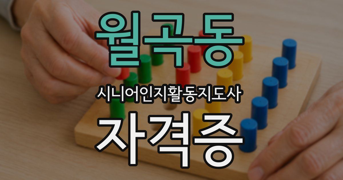 월곡동 시니어인지활동지도사 자격증