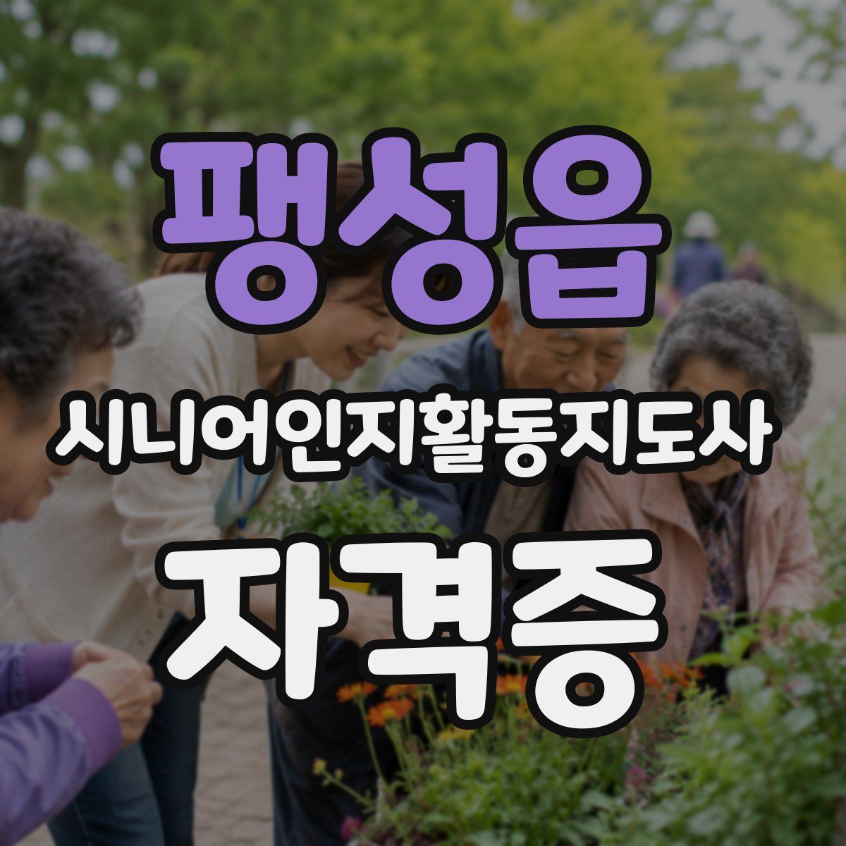 팽성읍 시니어인지활동지도사 자격증
