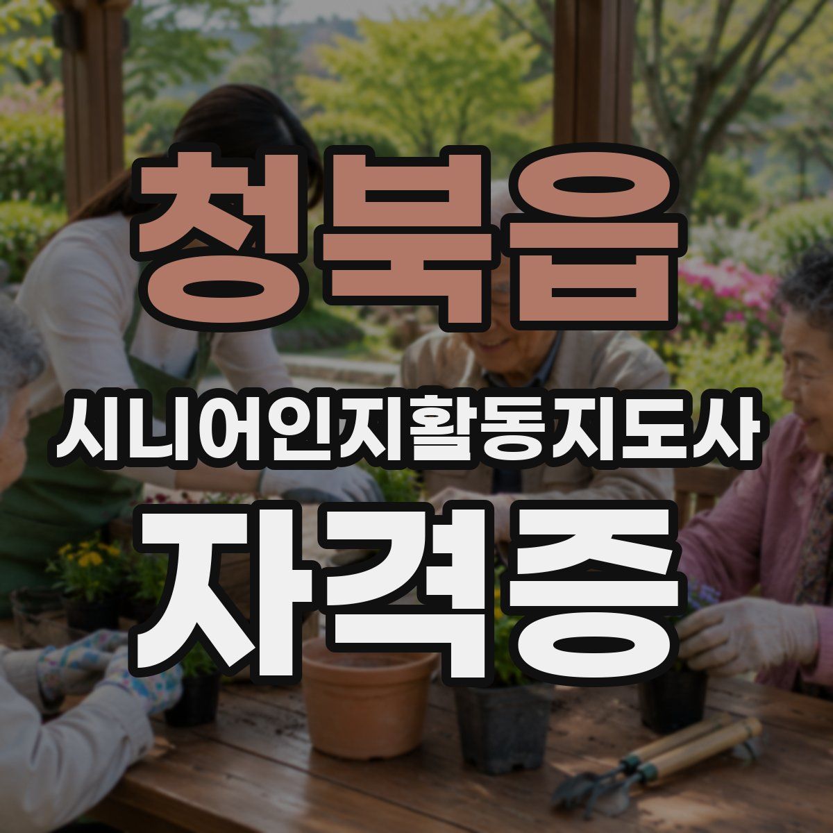 청북읍 시니어인지활동지도사 자격증