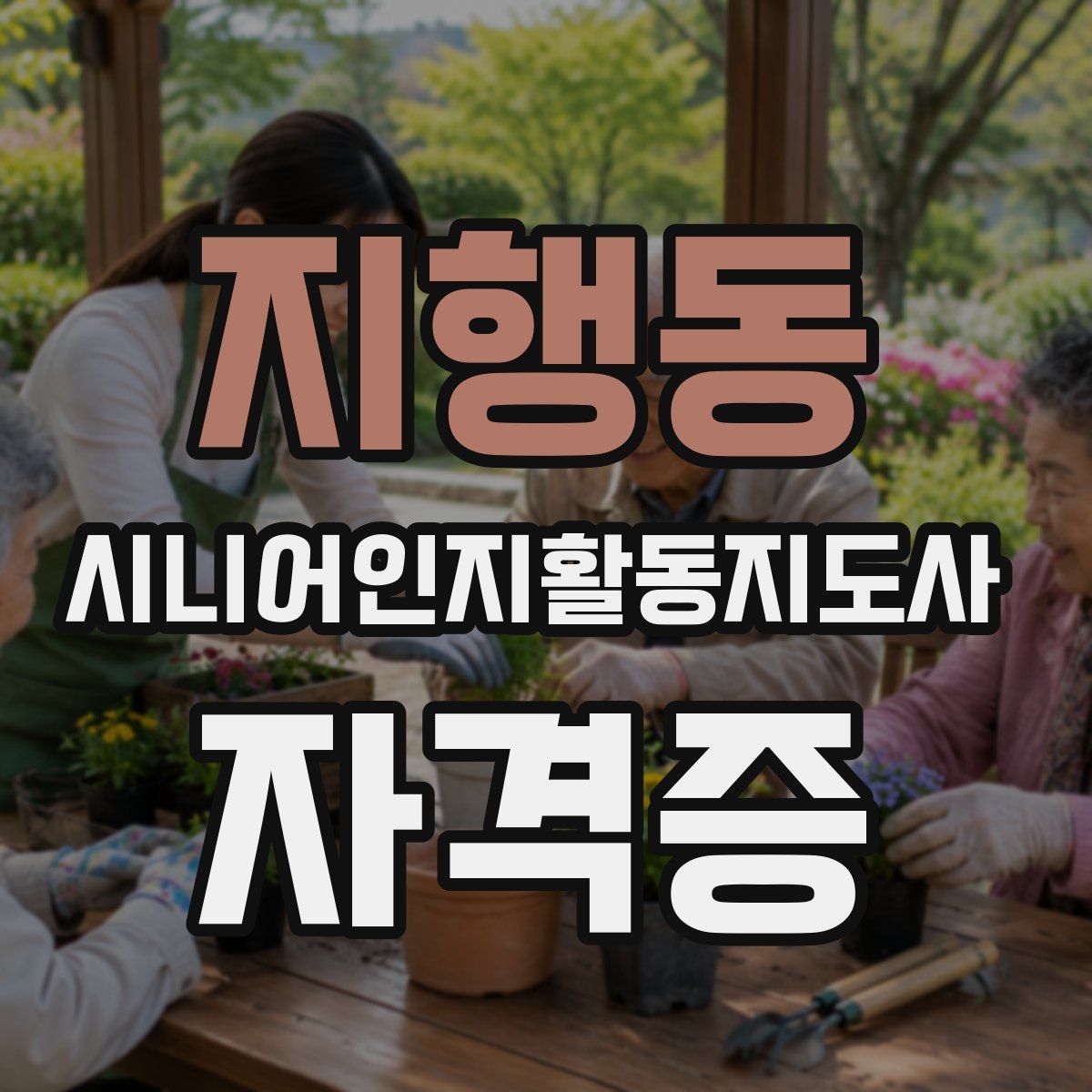 지행동 시니어인지활동지도사 자격증