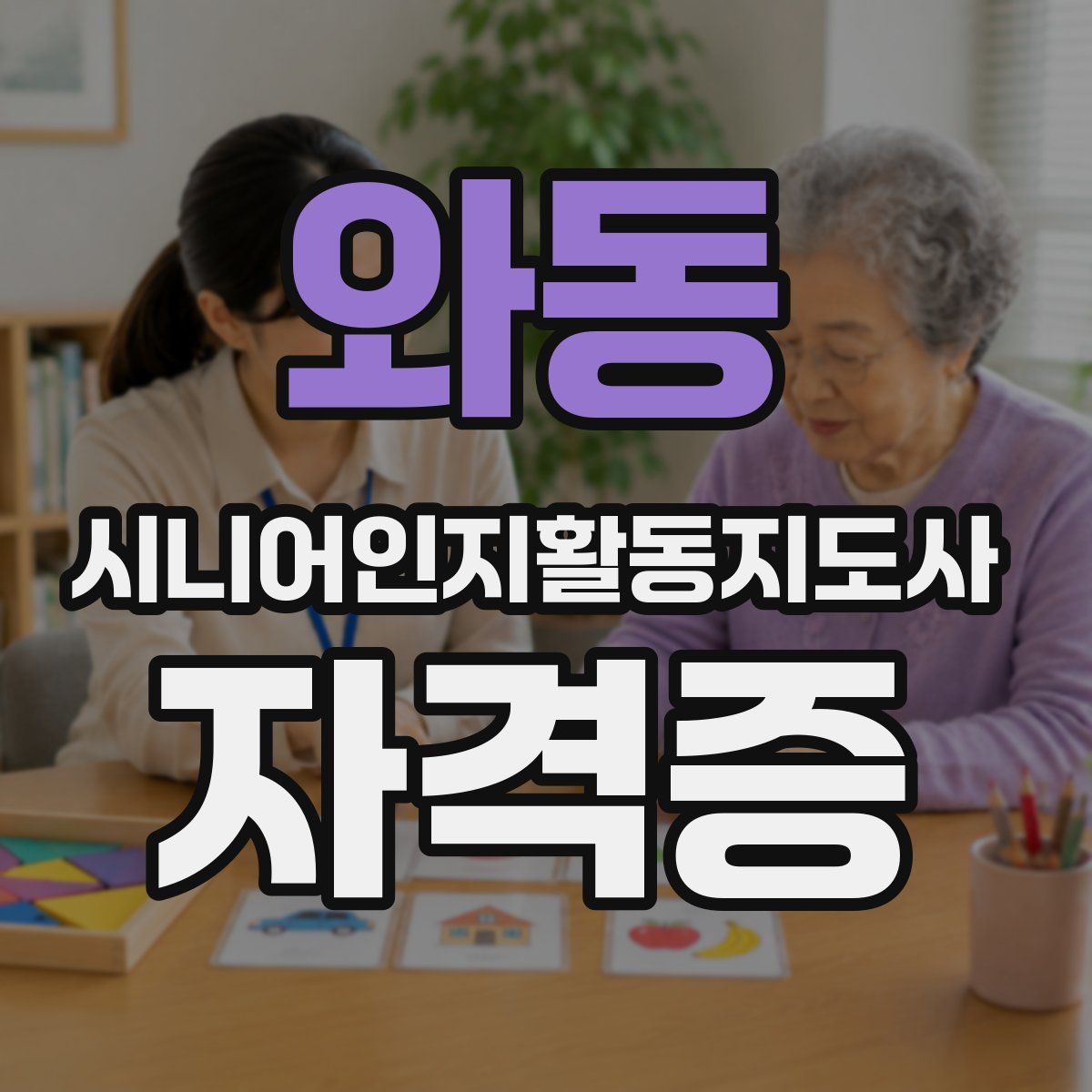 와동 시니어인지활동지도사 자격증
