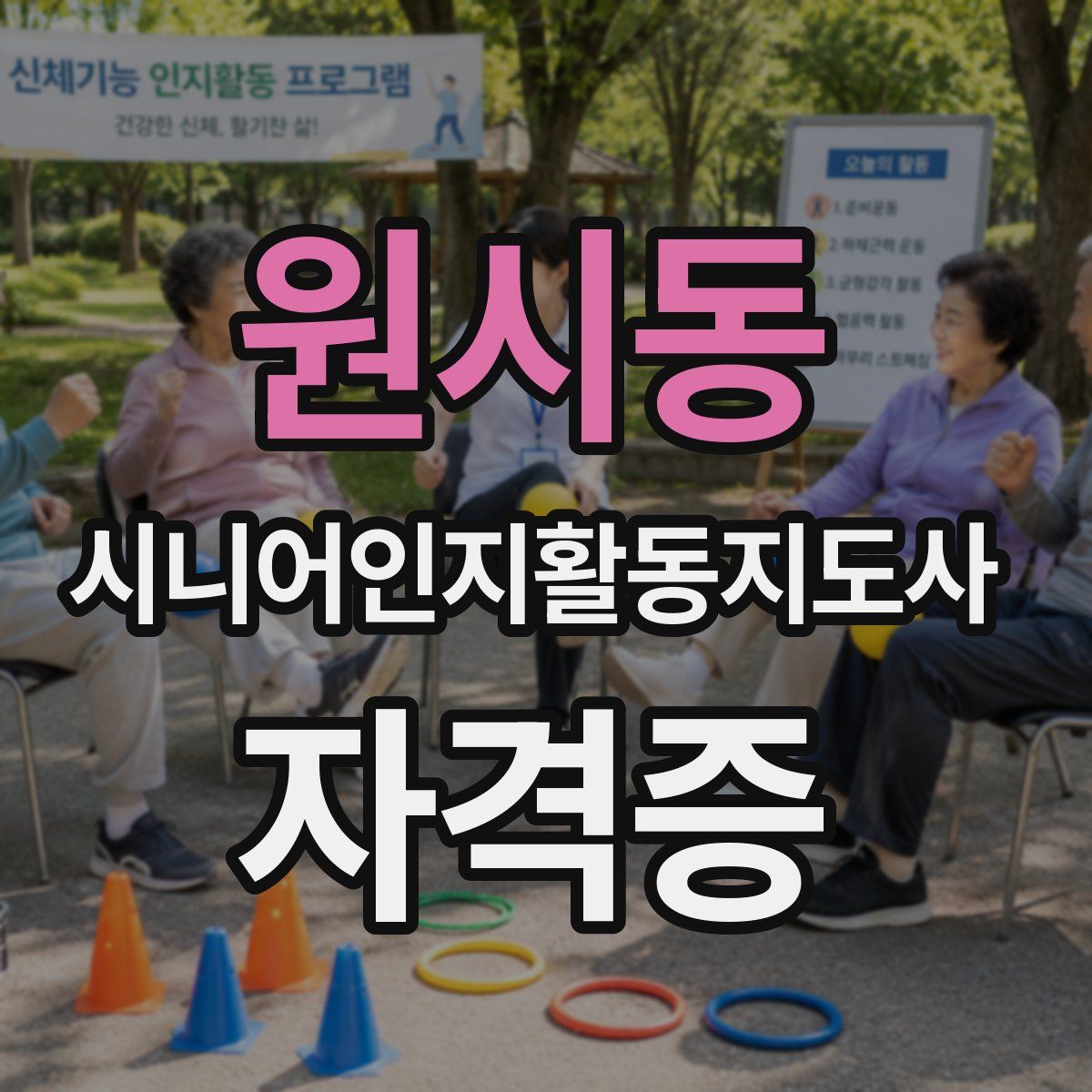 원시동 시니어인지활동지도사 자격증