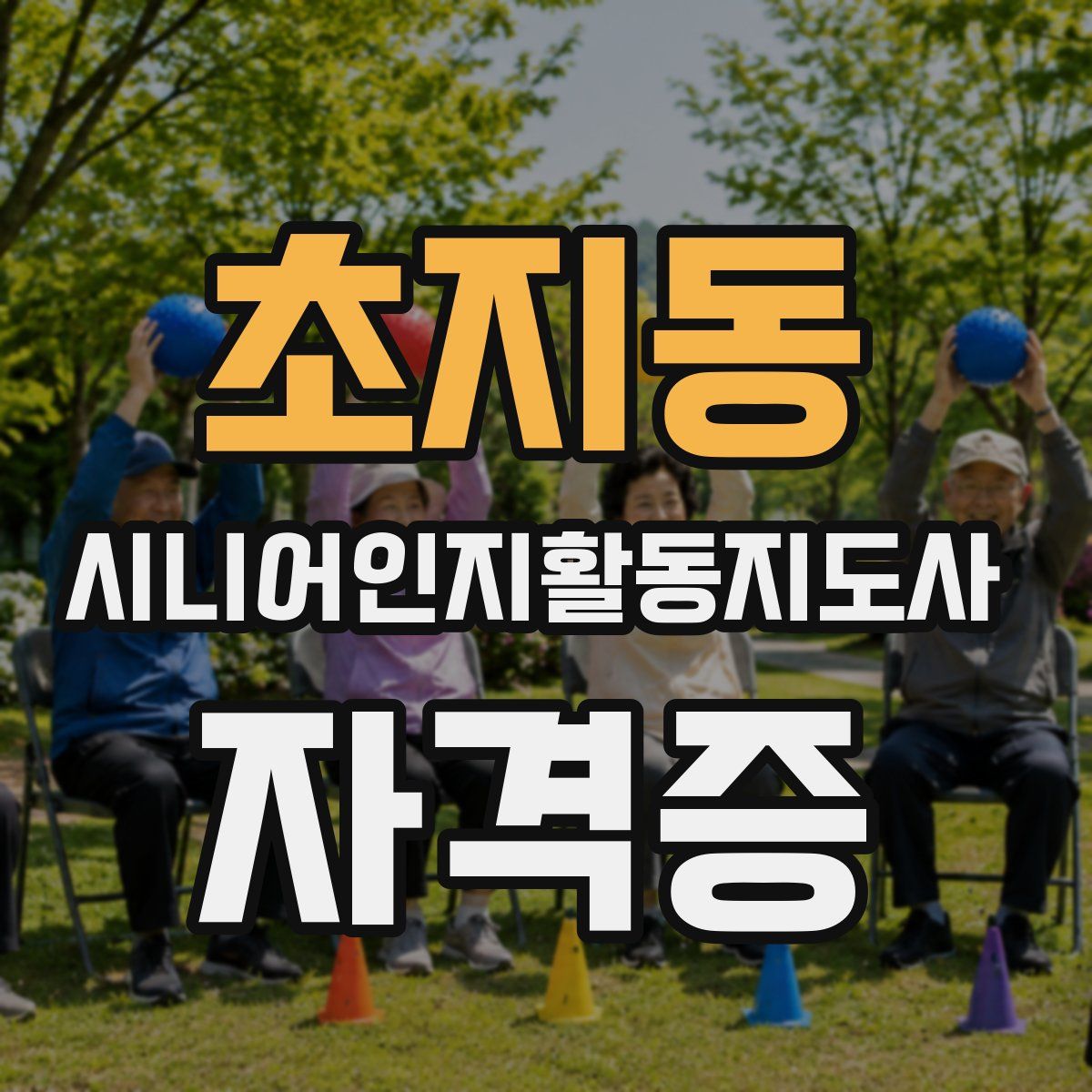 초지동 시니어인지활동지도사 자격증