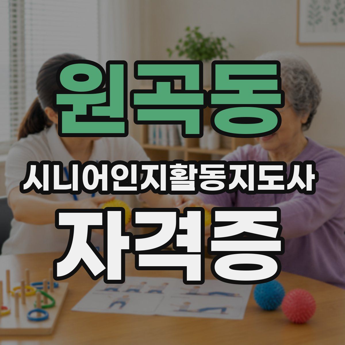 원곡동 시니어인지활동지도사 자격증