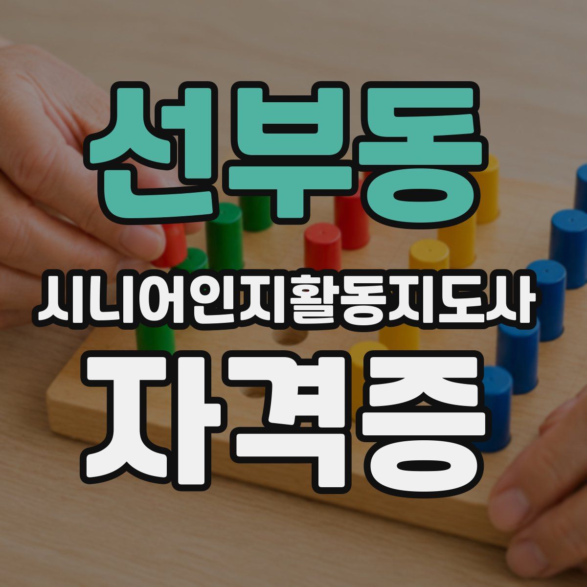 선부동 시니어인지활동지도사 자격증