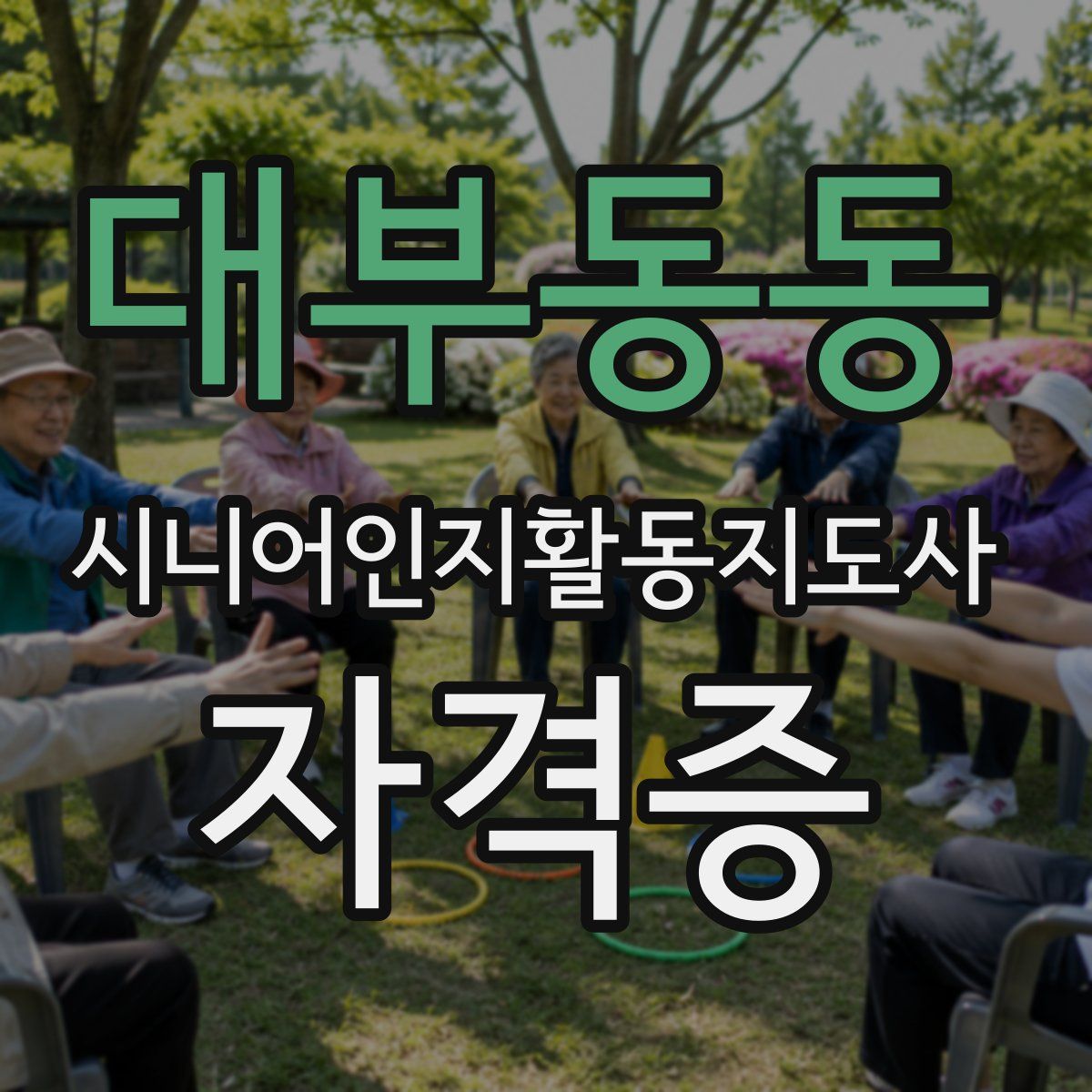 대부동동 시니어인지활동지도사 자격증
