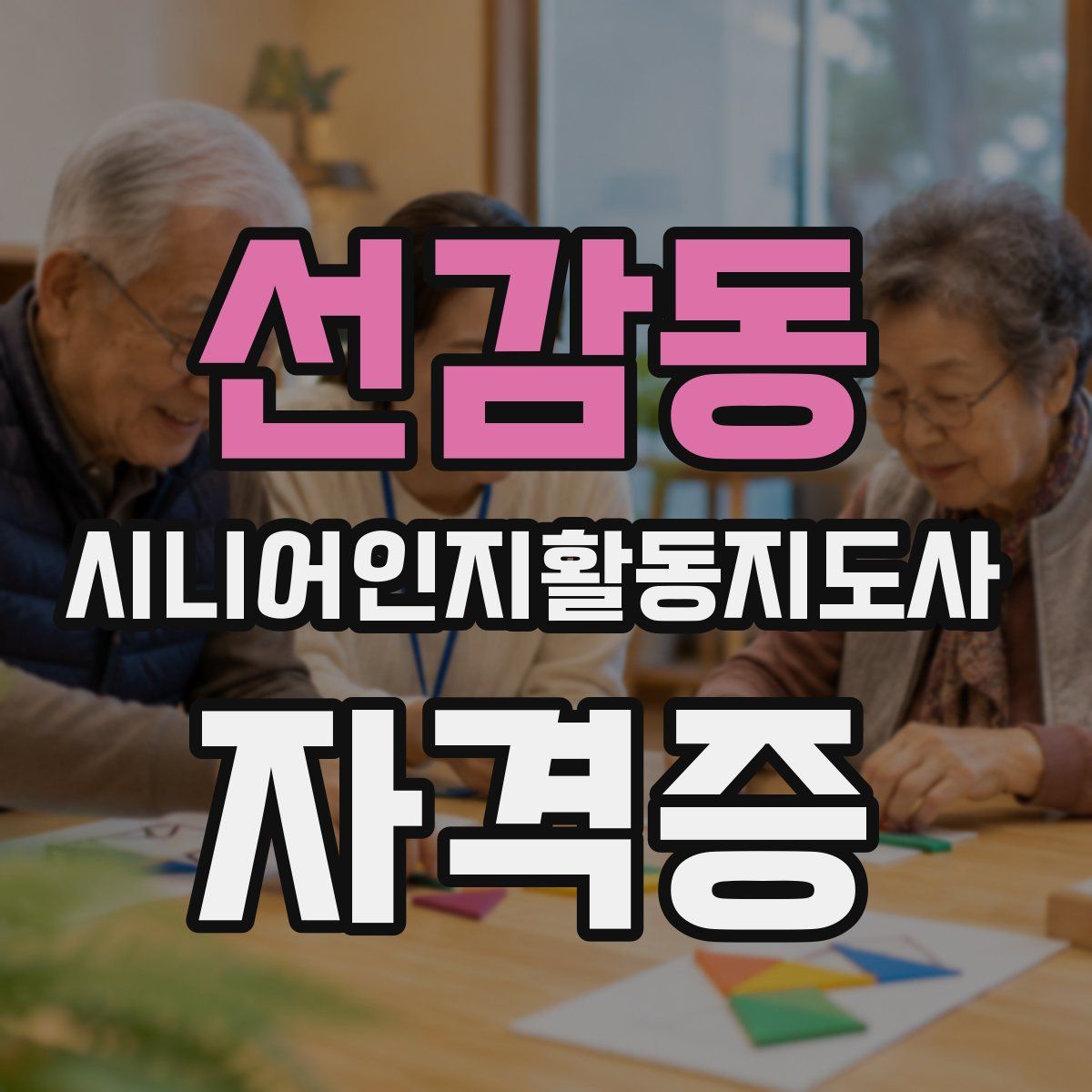 선감동 시니어인지활동지도사 자격증