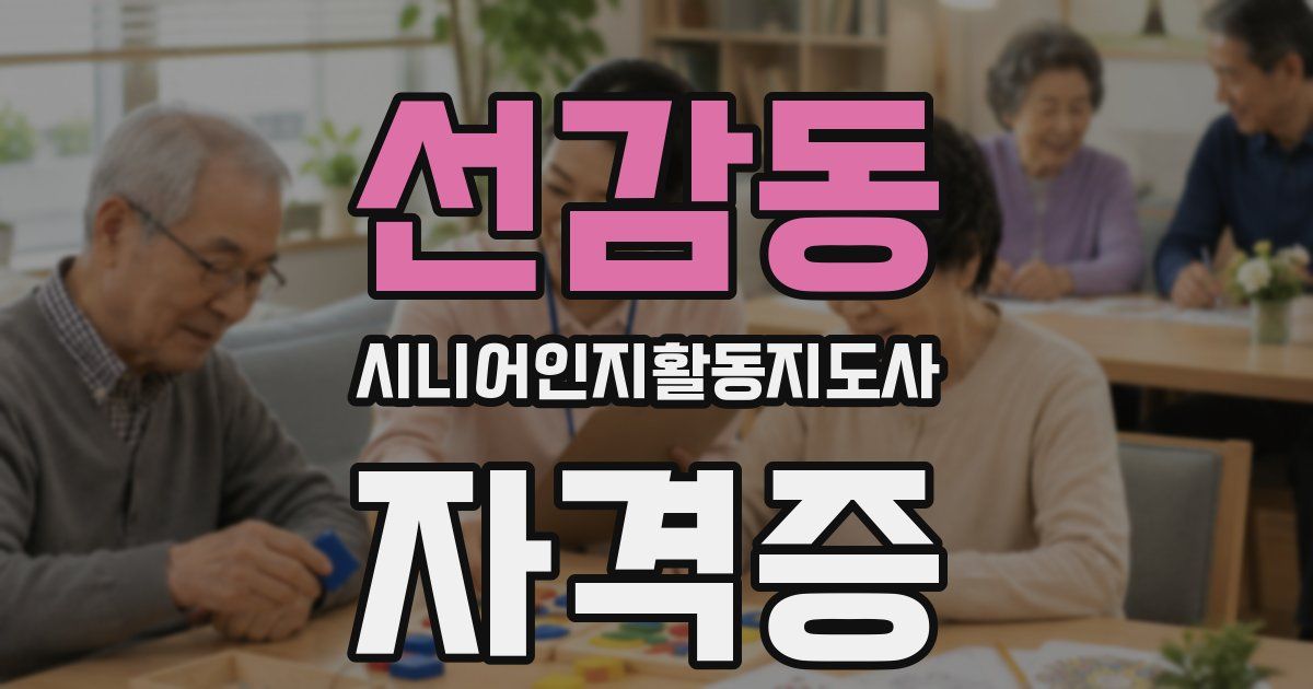 선감동 시니어인지활동지도사 자격증