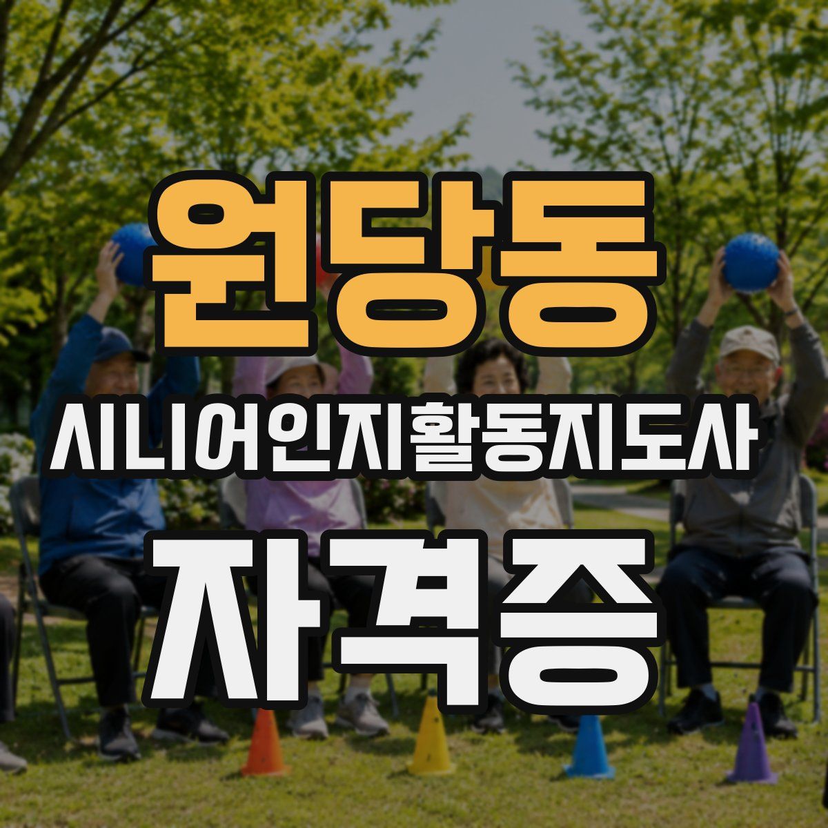 원당동 시니어인지활동지도사 자격증