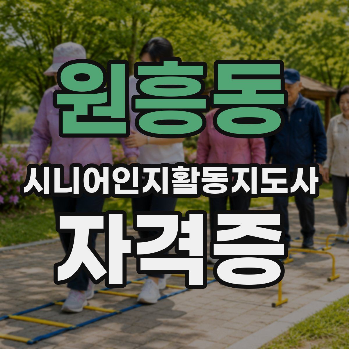 원흥동 시니어인지활동지도사 자격증