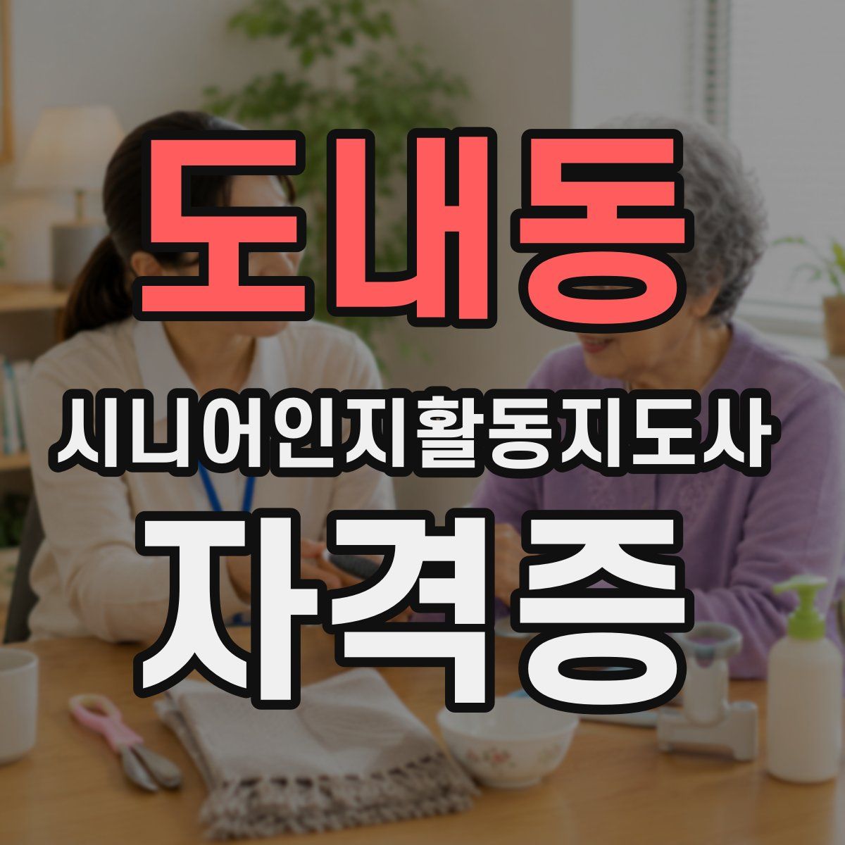 도내동 시니어인지활동지도사 자격증