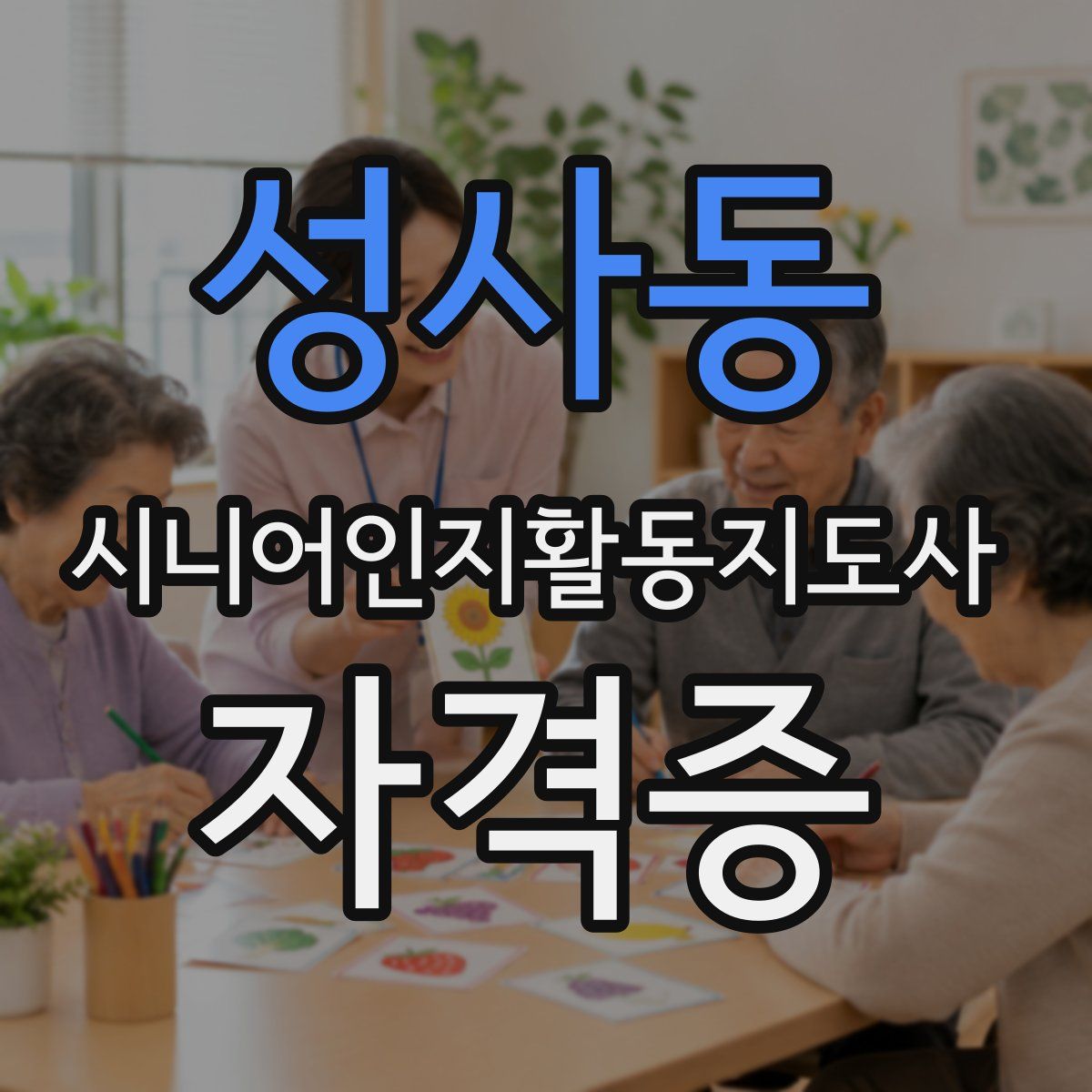 성사동 시니어인지활동지도사 자격증