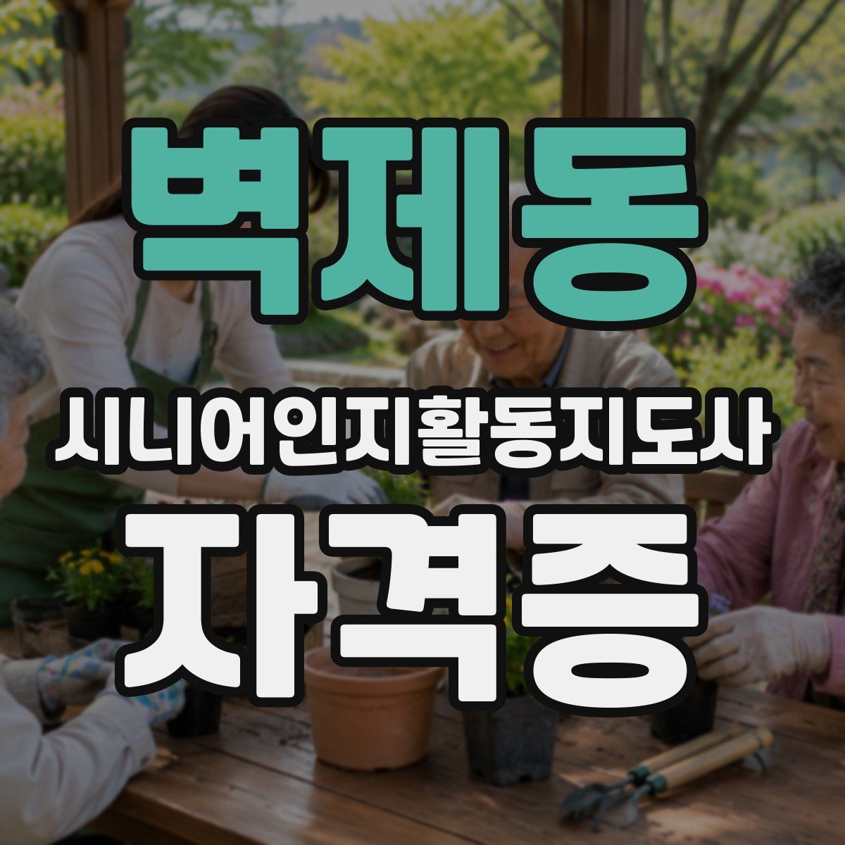 벽제동 시니어인지활동지도사 자격증