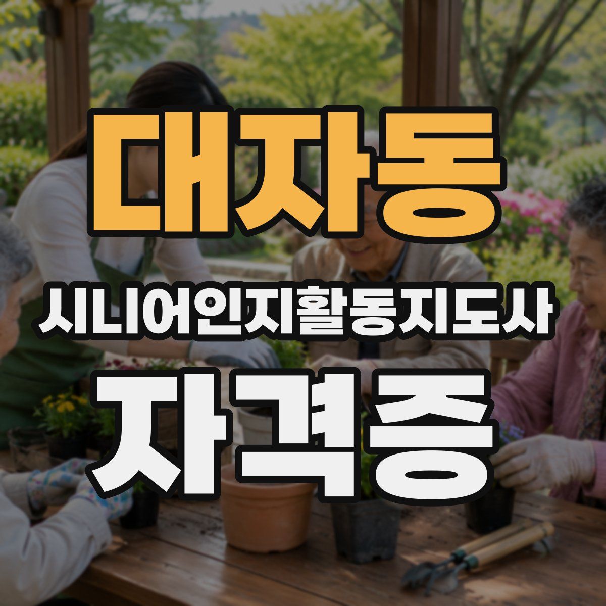 대자동 시니어인지활동지도사 자격증