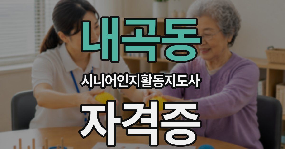 내곡동 시니어인지활동지도사 자격증