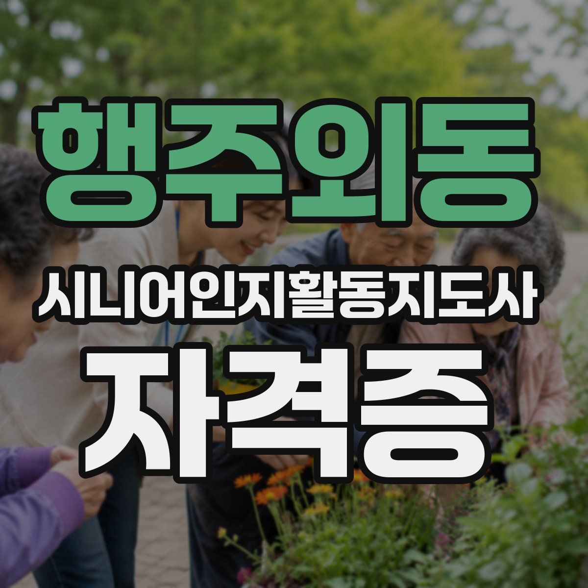 행주외동 시니어인지활동지도사 자격증
