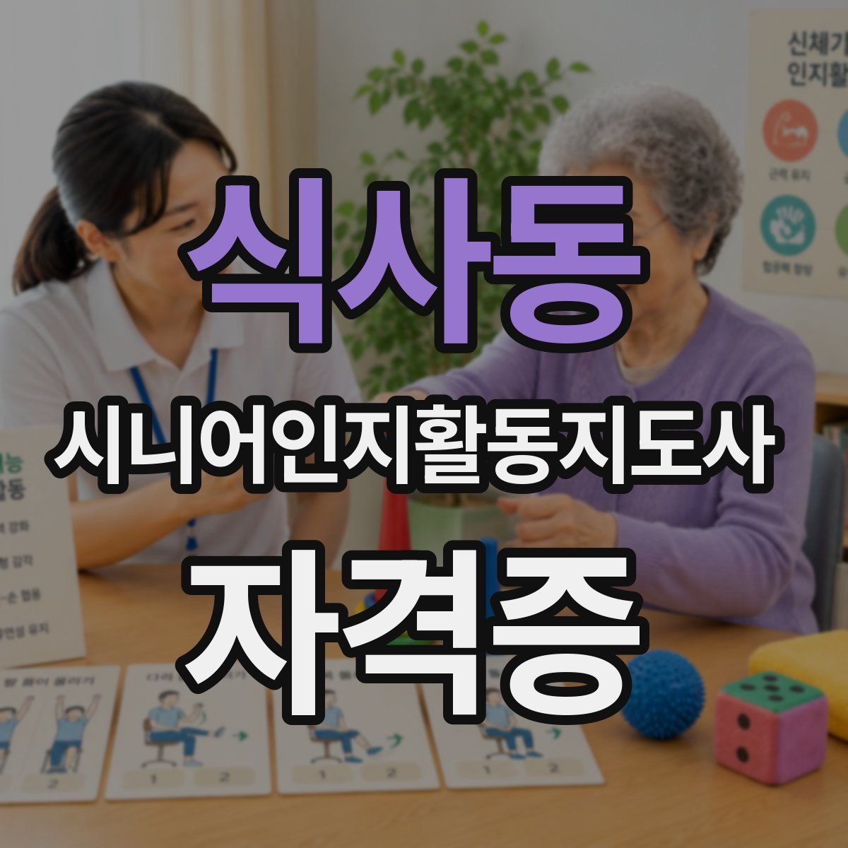 식사동 시니어인지활동지도사 자격증