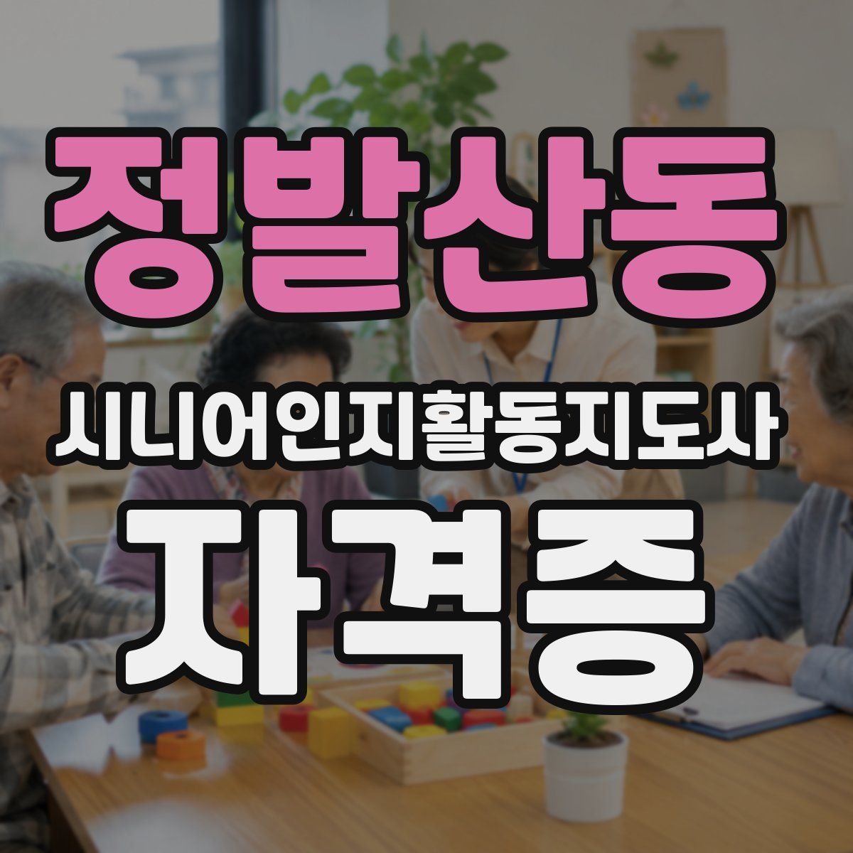정발산동 시니어인지활동지도사 자격증