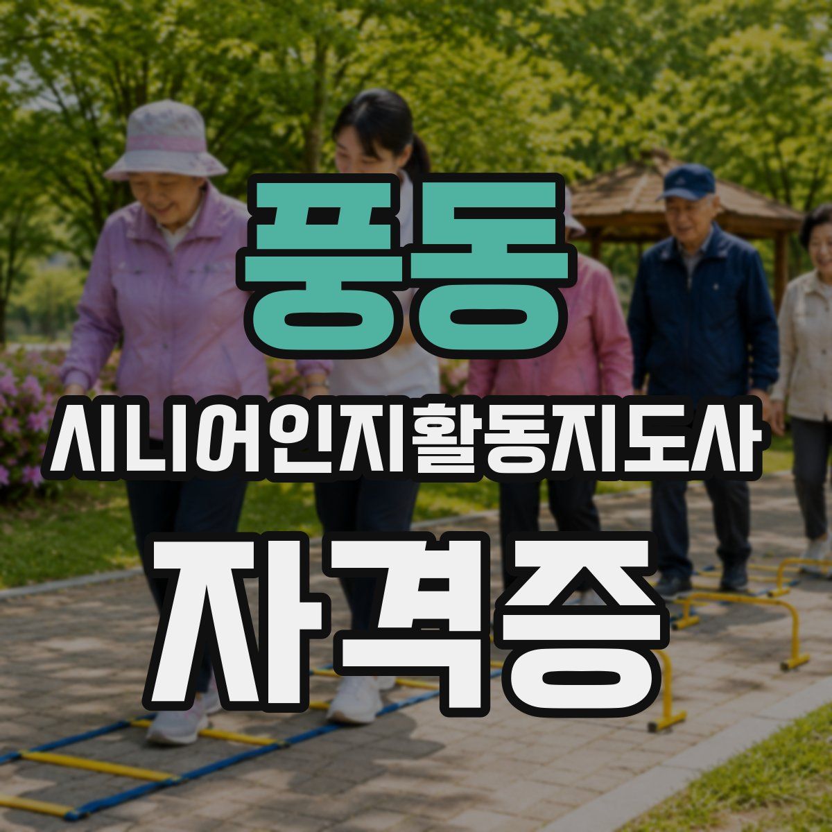 풍동 시니어인지활동지도사 자격증