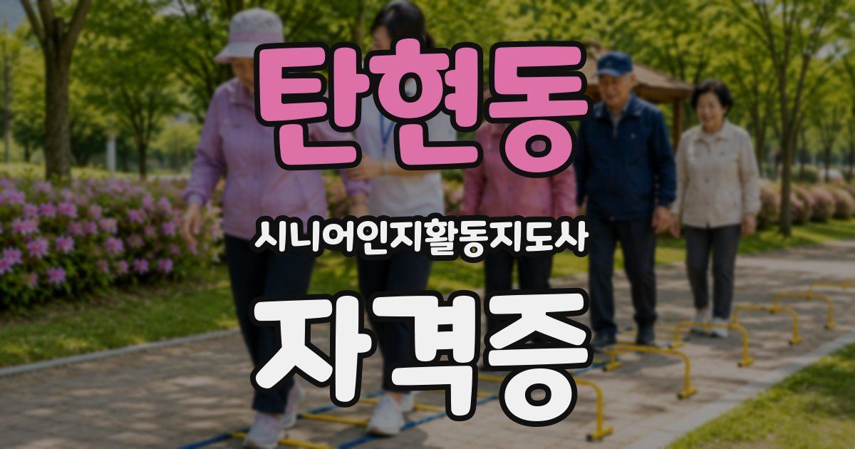 탄현동 시니어인지활동지도사 자격증
