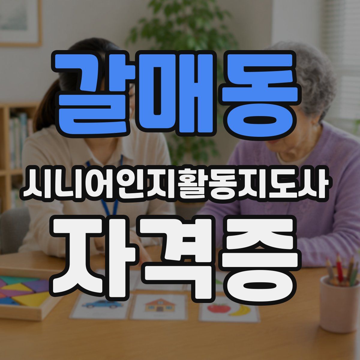 갈매동 시니어인지활동지도사 자격증