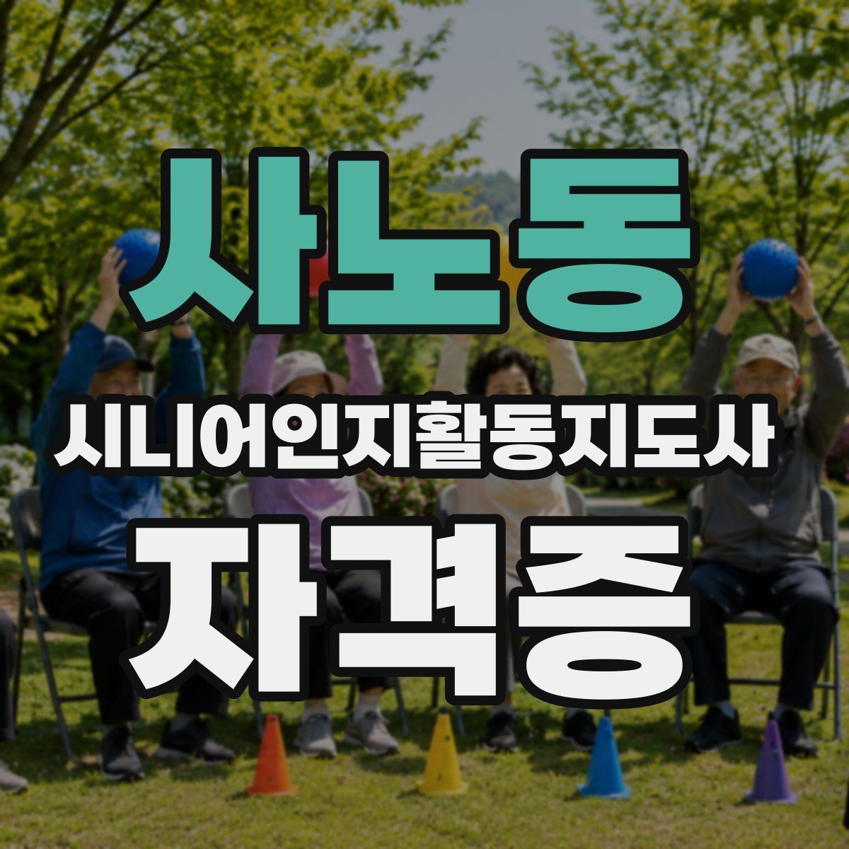 사노동 시니어인지활동지도사 자격증