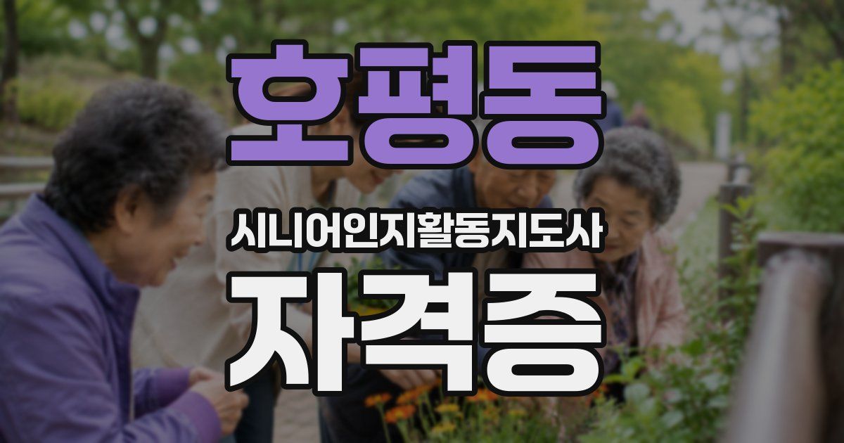 호평동 시니어인지활동지도사 자격증
