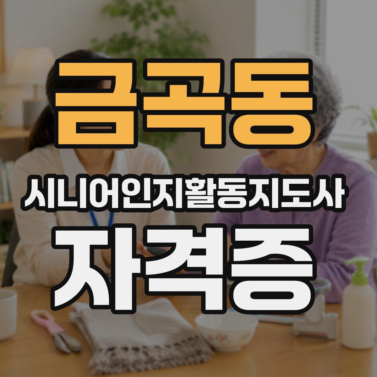 금곡동 시니어인지활동지도사 자격증